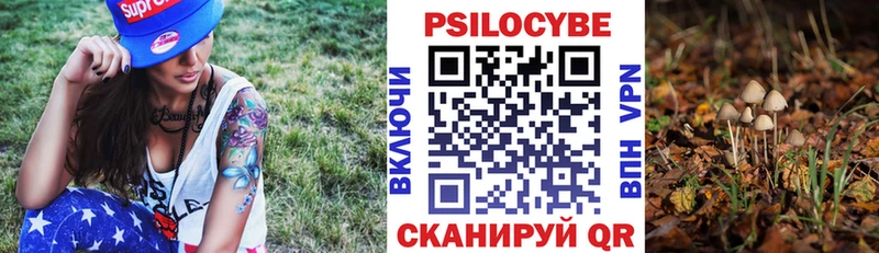 Галлюциногенные грибы Magic Shrooms  Ельня 
